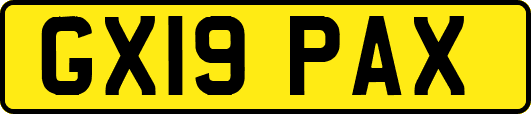 GX19PAX