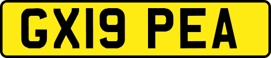 GX19PEA