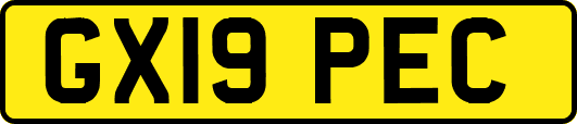 GX19PEC
