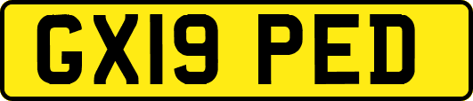 GX19PED
