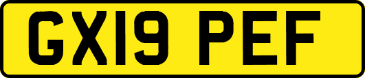 GX19PEF