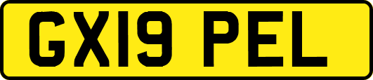 GX19PEL