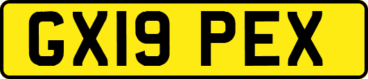 GX19PEX