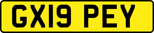 GX19PEY