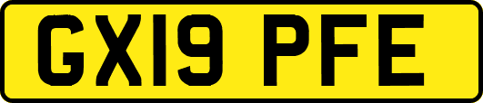 GX19PFE