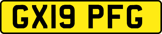 GX19PFG