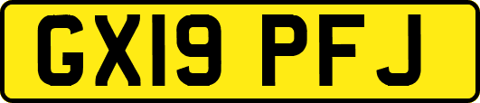 GX19PFJ
