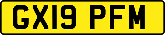 GX19PFM