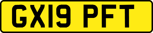 GX19PFT