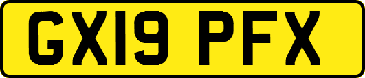 GX19PFX