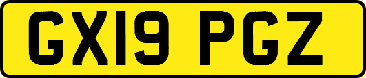 GX19PGZ