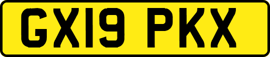 GX19PKX