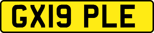 GX19PLE