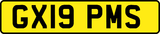 GX19PMS