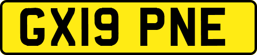 GX19PNE