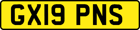 GX19PNS