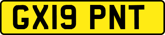 GX19PNT