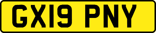 GX19PNY