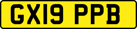 GX19PPB