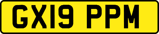GX19PPM
