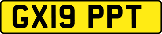 GX19PPT