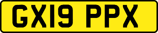 GX19PPX