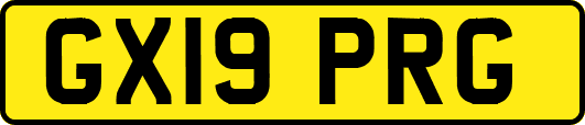 GX19PRG