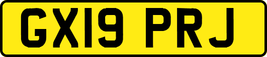 GX19PRJ