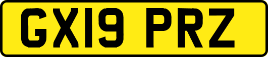 GX19PRZ
