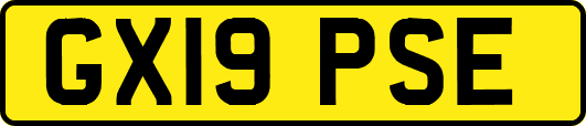GX19PSE