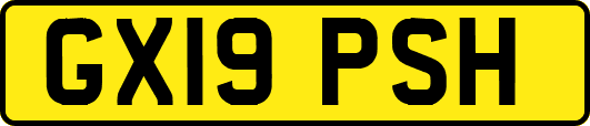 GX19PSH