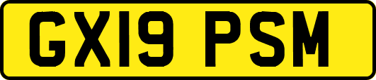 GX19PSM