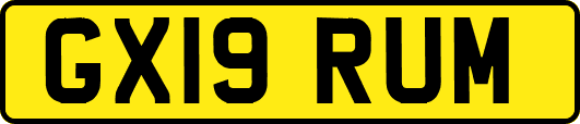 GX19RUM