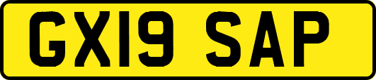 GX19SAP