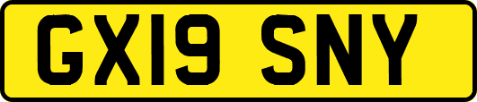GX19SNY