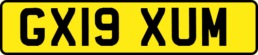 GX19XUM
