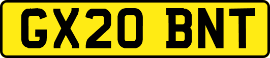 GX20BNT