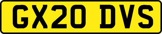 GX20DVS