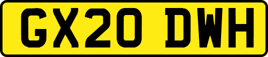 GX20DWH