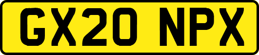 GX20NPX