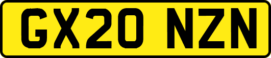GX20NZN