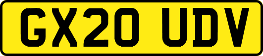GX20UDV