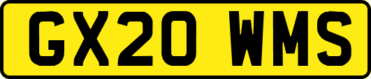 GX20WMS