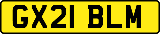 GX21BLM