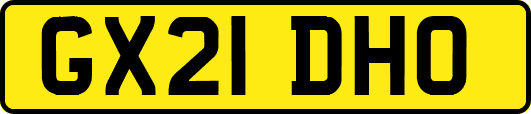 GX21DHO