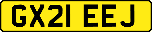 GX21EEJ
