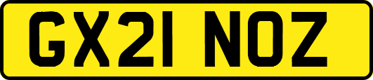 GX21NOZ