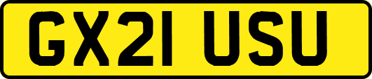 GX21USU