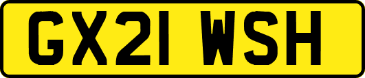 GX21WSH