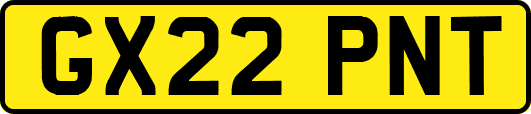 GX22PNT